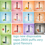 ISGO VEGAS Disposable vape isgo new version 2800 puffs