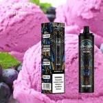 VNSN Quake 10000 Puffs Disposable Vape, Rechargeable- Blueberry Ice