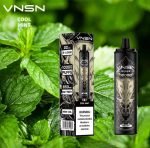 VNSN Quake 10000 Puffs Disposable Vape, Rechargeable- Cool Mint