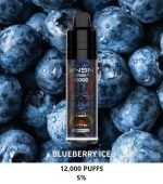 VNSN Spark 12000 Puffs Disposable Vape- Blueberry Ice