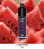 VNSN Spark 12000 Puffs Disposable Vape- Lush Ice