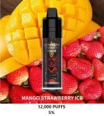 VNSN Spark 12000 Puffs Disposable Vape- Mango Strawberry Ice