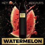 Hey Lola 4500 Puffs Disposable 2% (20mg)- Watermelon