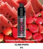 VNSN Spark 12000 Puffs Disposable Vape- Strawberry Watermelon Ice