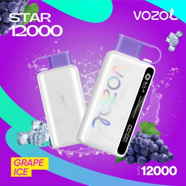 Vozol Star 12000 Puffs Disposable Vape- Grape Ice