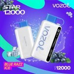 Vozol Star 12000 Puffs Disposable Vape- Blue Razz Ice