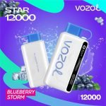 Vozol Star 12000 Puffs Disposable Vape- Blueberry Storm