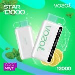 Vozol Star 12000 Puffs Disposable Vape- Cool Mint