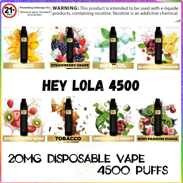 Hey Lola 4500 Puffs Disposable 2% (20mg)