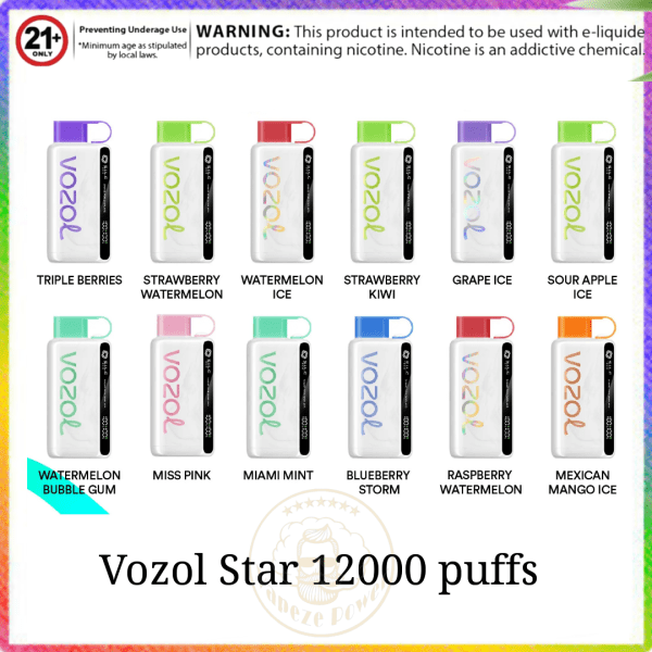 Vozol Star 12000 Puffs Disposable Vape