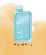 Elf Bar BC10000 Puffs Disposable Vape- Miami Mint