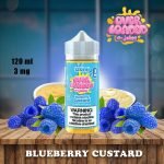 Loaded 120ml E-Liquid 3mg- Blueberry Custard