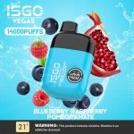 ISGO Vegas 14000 Puffs Disposable Vape- Blueberry Raspberry Pomegranate