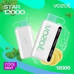 Vozol Star 12000 Puffs Disposable Vape- Cool Mint