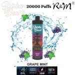 R&M ShiSha Beast 20000 Puffs Disposable Vape- Grape Mint