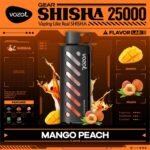 Vozol Gear Shisha 25000 Puffs Disposable Vape- Mango Peach