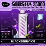 Vozol Gear Shisha 25000 Puffs Disposable Vape- Blackberry Ice