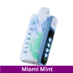 ELFBAR ICE King 30000 Miami Mint Puffs in Dubai