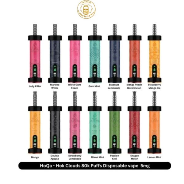 HOK Clouds HoQa 80000 Puffs Disposable