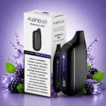 FLONQ Max S 8000 Puffs Blackberry Mint disposable vape